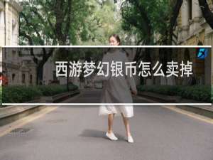 西游梦幻银币怎么卖掉