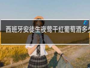 西班牙安徒生夜莺干红葡萄酒多少钱