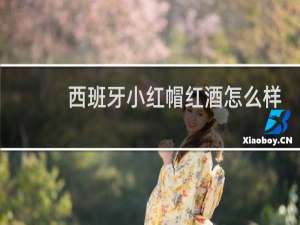 西班牙小红帽红酒怎么样