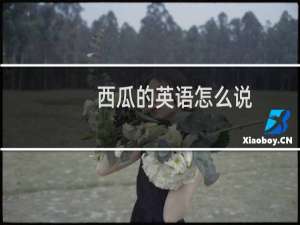 西瓜的英语怎么说