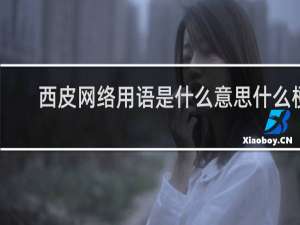 西皮网络用语是什么意思什么梗