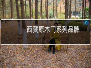 西藏原木门系列品牌