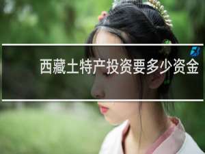 西藏土特产投资要多少资金