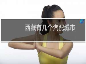 西藏有几个汽配城市