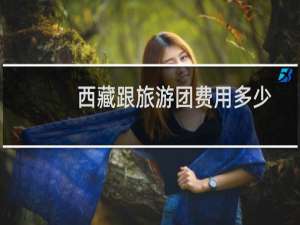 西藏跟旅游团费用多少