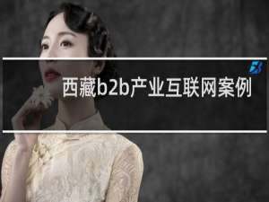 西藏b2b产业互联网案例