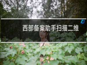 西部备案助手扫描二维码报告出错