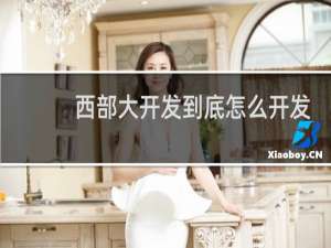 西部大开发到底怎么开发