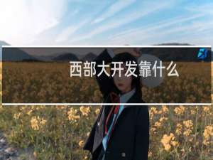 西部大开发靠什么