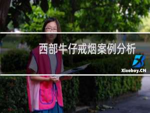 西部牛仔戒烟案例分析