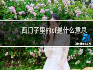 西门子里的cf是什么意思