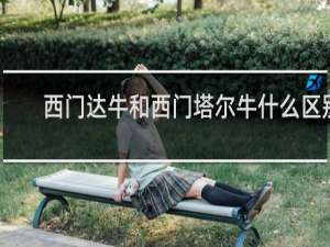 西门达牛和西门塔尔牛什么区别