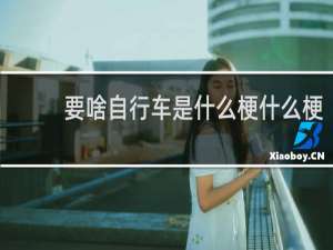 要啥自行车是什么梗什么梗