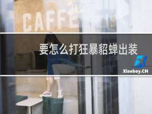 要怎么打狂暴貂蝉出装