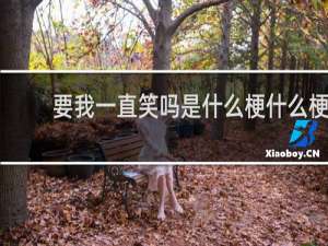 要我一直笑吗是什么梗什么梗