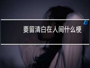 要留清白在人间什么梗