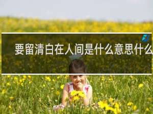 要留清白在人间是什么意思什么梗