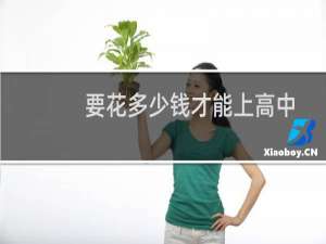 要花多少钱才能上高中（要花多少钱）