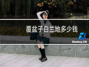 覆盆子白兰地多少钱
