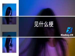 见什么梗