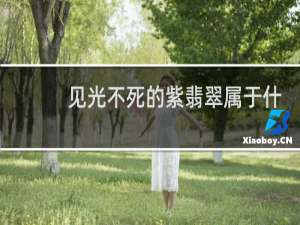 见光不死的紫翡翠属于什么级别