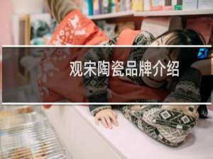 观宋陶瓷品牌介绍