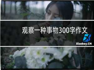 观察一种事物300字作文