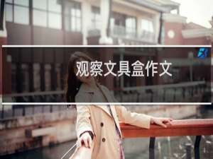 观察文具盒作文