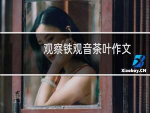 观察铁观音茶叶作文