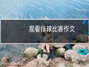 观看排球比赛作文