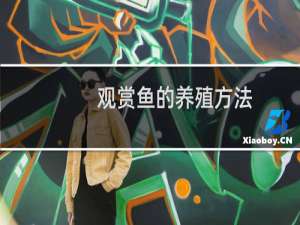观赏鱼的养殖方法