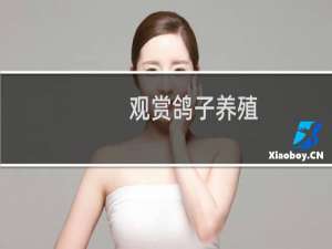 观赏鸽子养殖