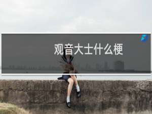 观音大士什么梗