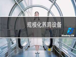 规模化养鸡设备