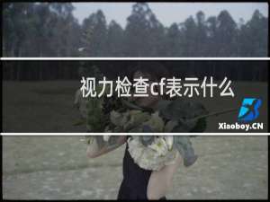 视力检查cf表示什么