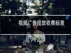 视频广告投放收费标准