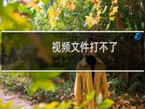 视频文件打不了，自动跳转到一个域名下！