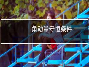 角动量守恒条件（角动量守恒）