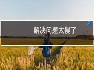 解决问题太慢了，反映多次了？