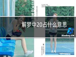 解梦中 占什么意思