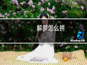 解梦怎么拼