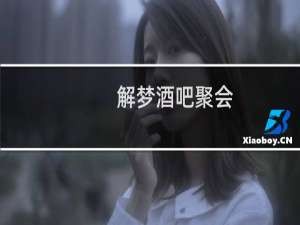 解梦酒吧聚会