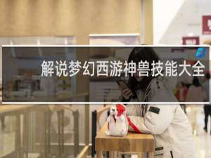 解说梦幻西游神兽技能大全
