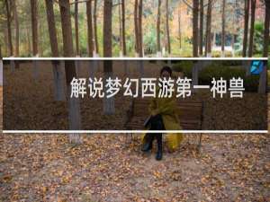解说梦幻西游第一神兽