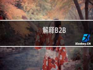解释B2B