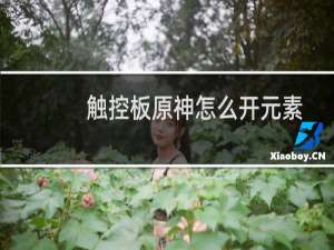 触控板原神怎么开元素