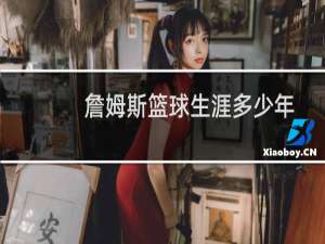 詹姆斯篮球生涯多少年