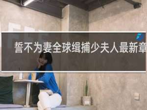 誓不为妻全球缉捕少夫人最新章节