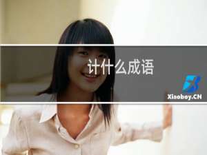 计什么成语