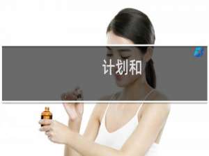 计划和